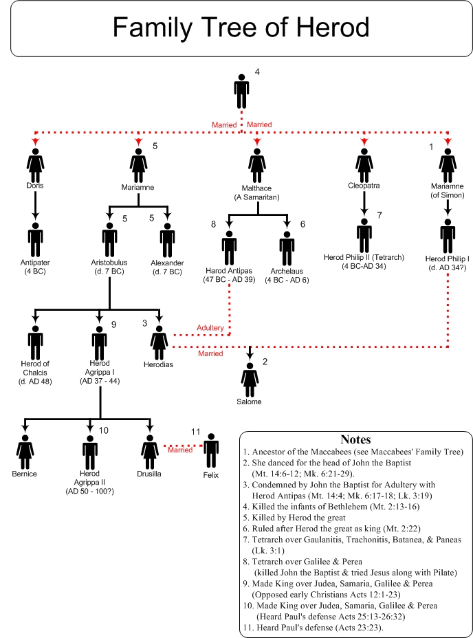 Family Tree of Herod and Herodias