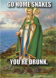 drunk snakes - catholic memes