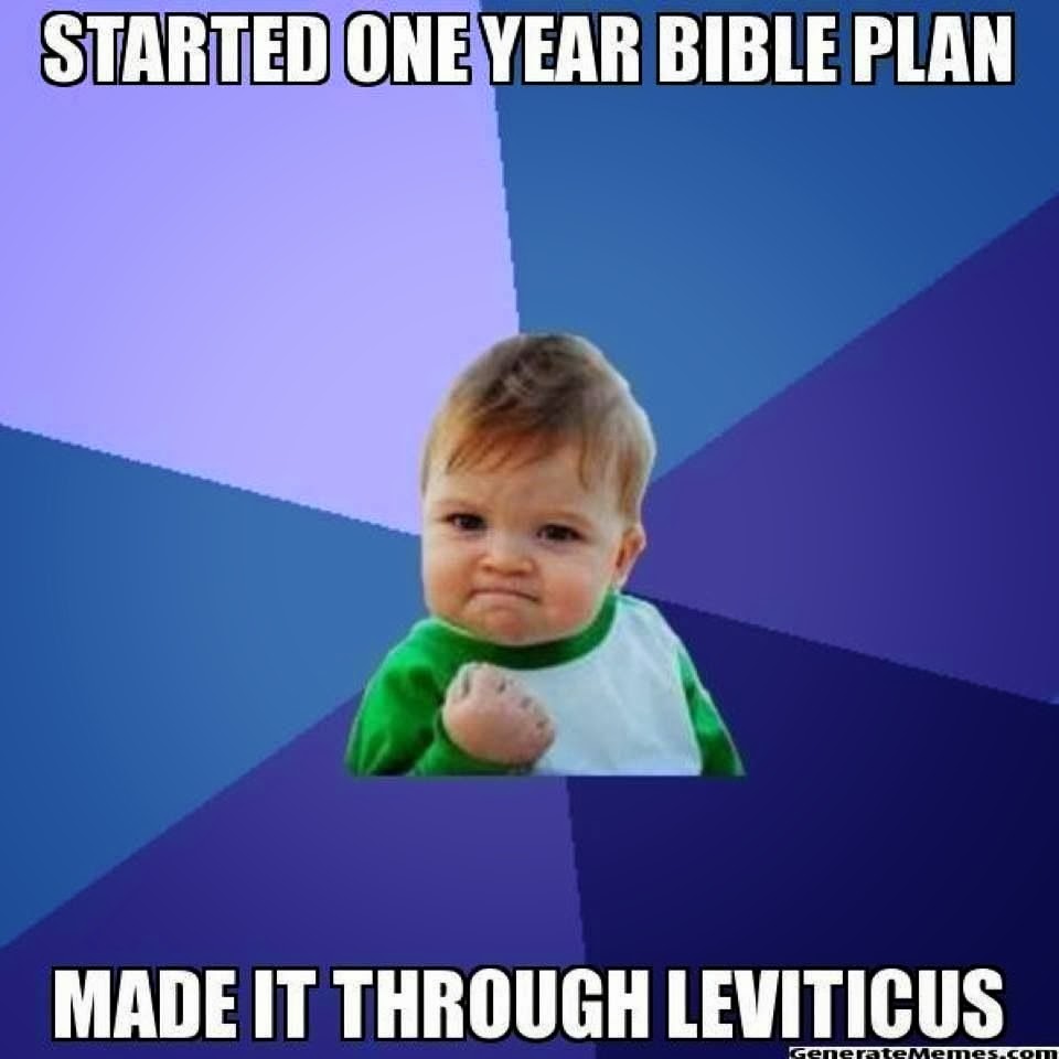 Bible in 1 year meme