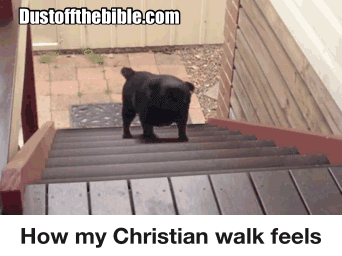 How my Christian walk feels gif meme