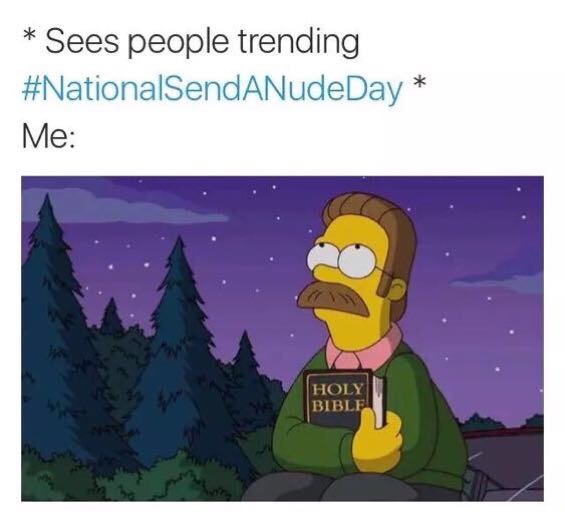 Ned Flanders on nationalsendnudesday