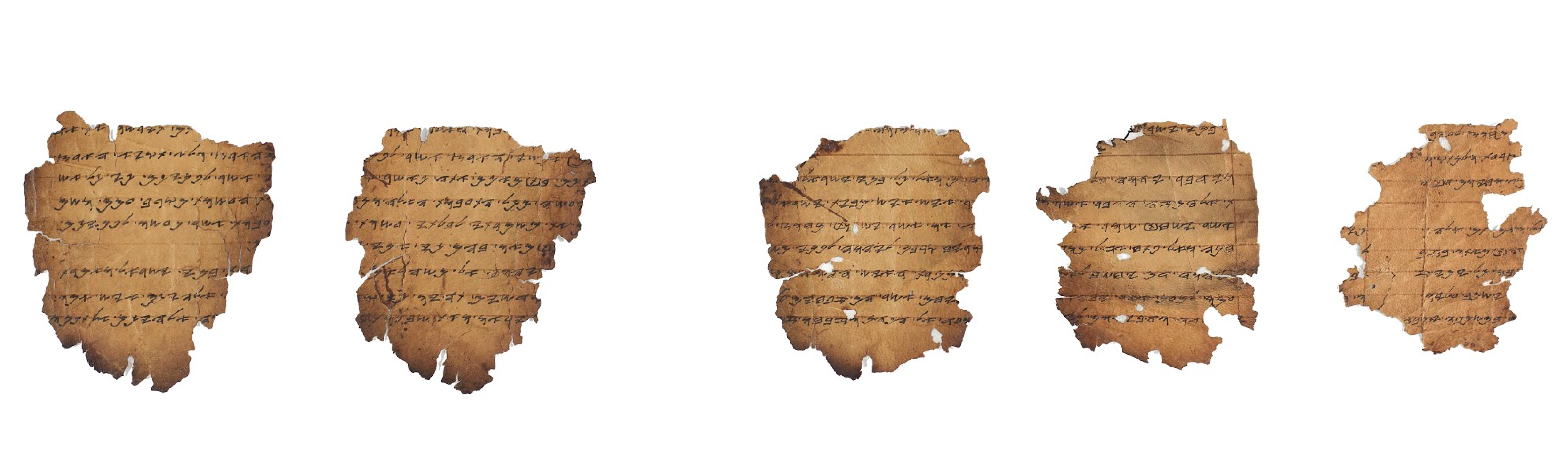 PaleoLeviticus Scroll Fragments