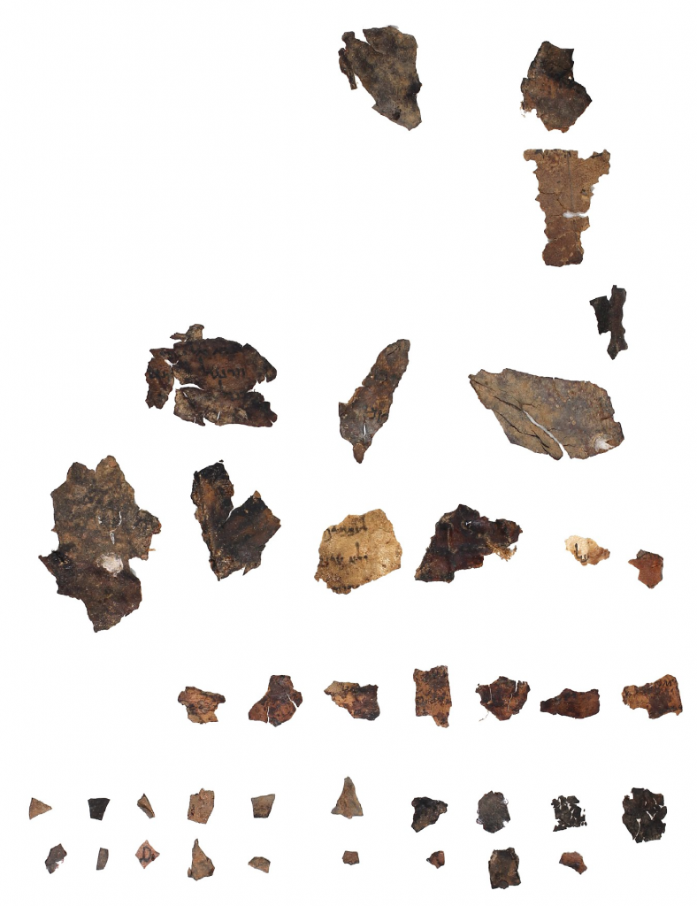 PaleoLeviticus Small Fragments