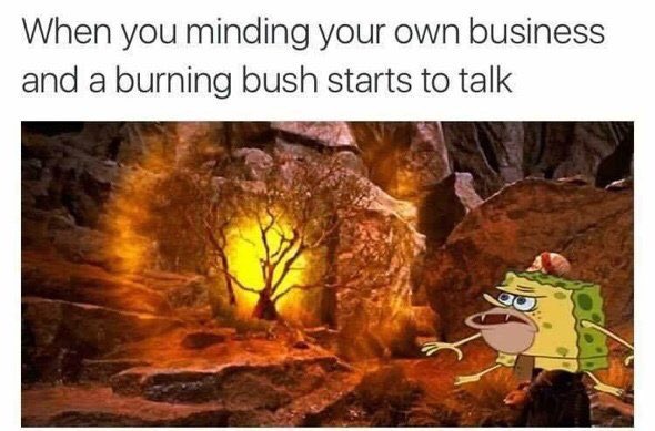 Burning bush Moses Spongebob meme