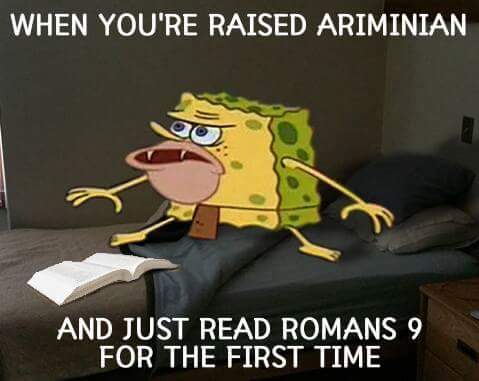 Arminian Romans 9 meme