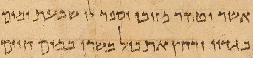 The Temple Scroll, column 45 script type