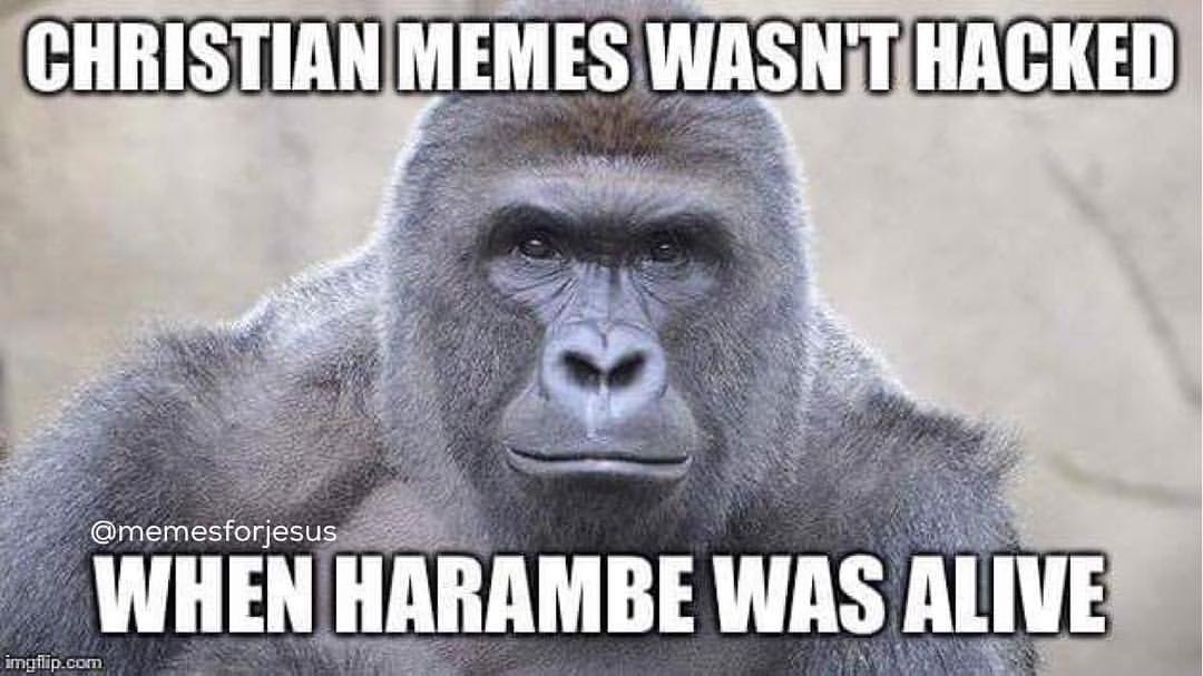 christian-memes-were-never-hacked-when-harambe-was-alive