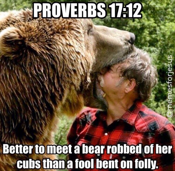 proverbs-17-12-meme