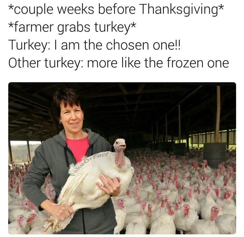 i-am-the-chosen-turkey