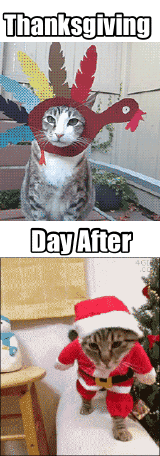 thanksgiving-before-and-after