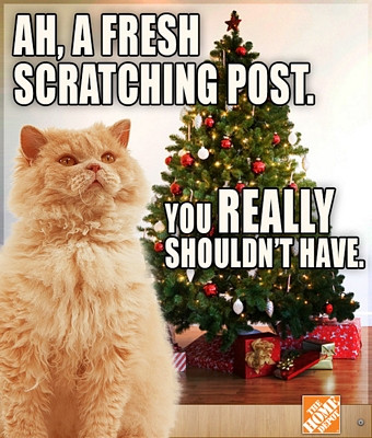 new-scratching-post-christmas-meme