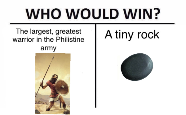 Who would win Goliath or a stone meme