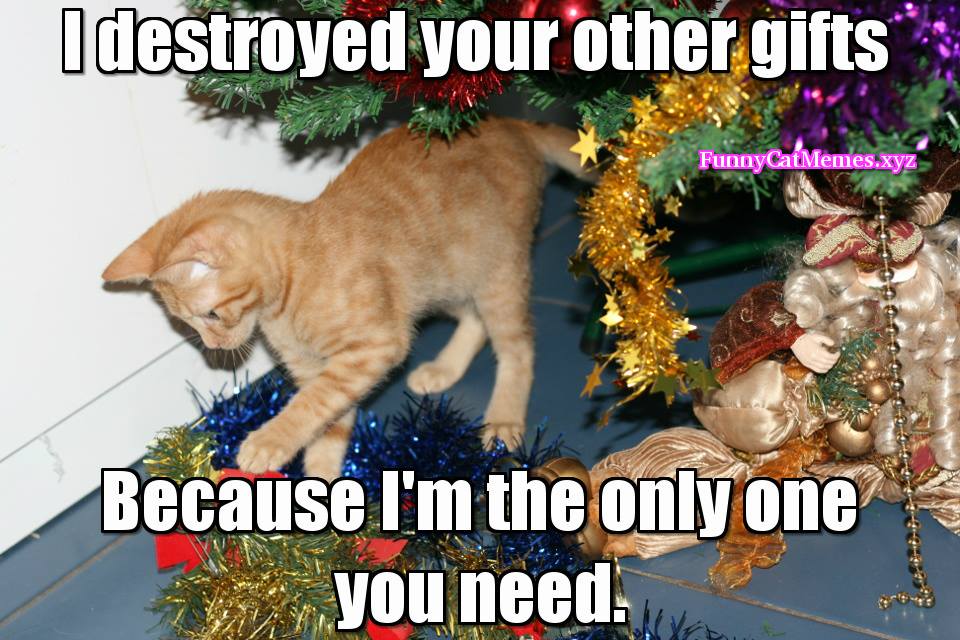 I destroyed your pther gifts because I am the only one you need meme