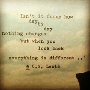 day by day cs lewis quote