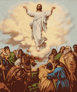 Ascending Jesus