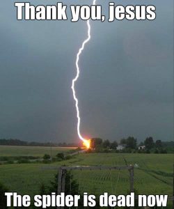 Thank God the spider is dead Christian meme