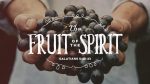 Fruit of the Spirit Galatians 5:22-23