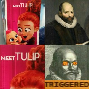 Meet TULIP meme