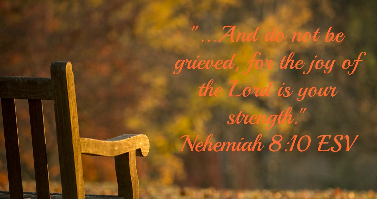 Daily Bible Reading Devotional [Nehemiah 8:1-3, 5-6, 8-10]-January 27