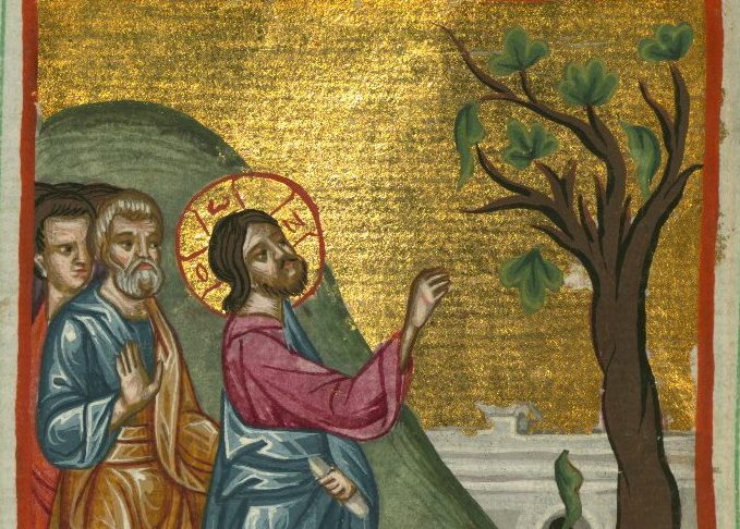 Parable of the fig tree