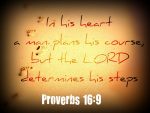 proverbs 16:9
