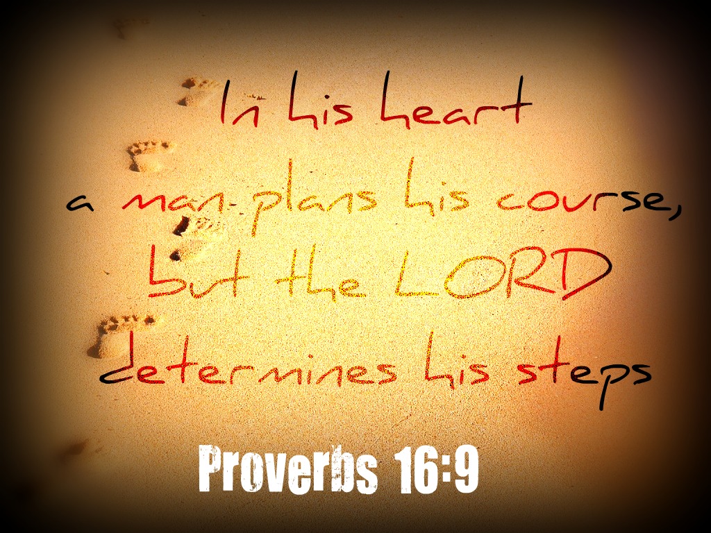 proverbs 16:9