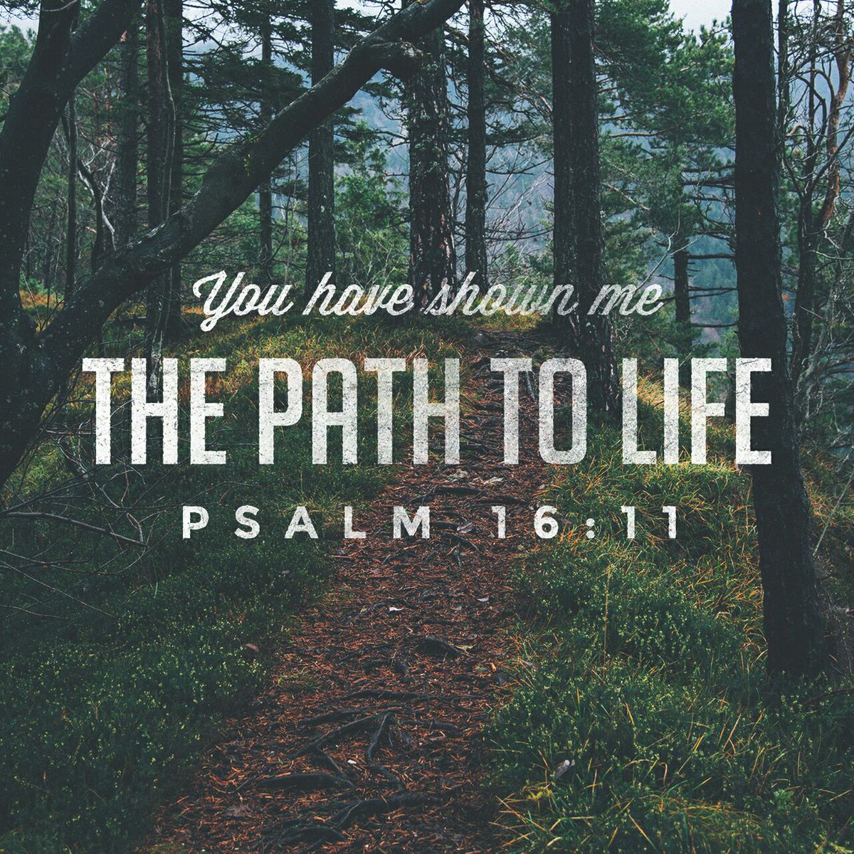 Psalm 16:11