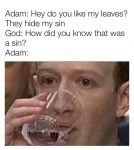 How did you know that was a sin Adam