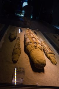 Mummified crocodiles, Roman Period