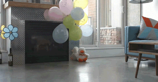 Magic easter bunny dog